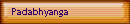 Padabhyanga